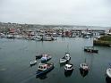 P1000667- Newlyn une des plus importantes flottes de peche du royaume uni